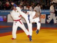 JU JITTSU