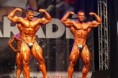 BODYBUILDING